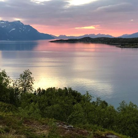 Aaroybukt Guesthouse Aroybukta Zewnętrze zdjęcie